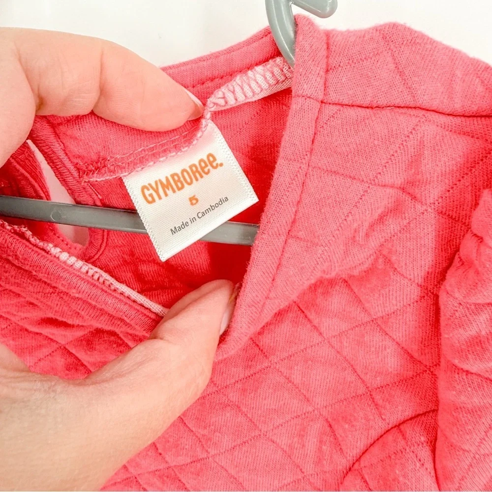 Gymboree Pink Flutter Sleeve Fit and Flare Dress